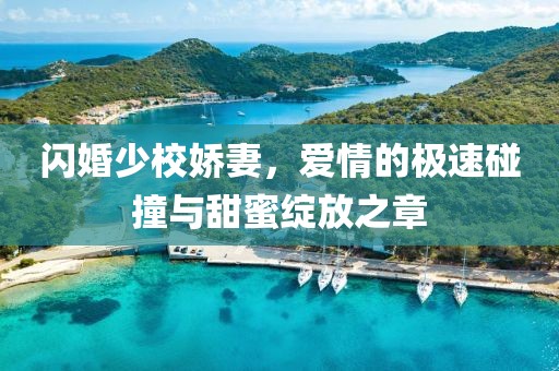 閃婚少校嬌妻，愛(ài)情的極速碰撞與甜蜜綻放之章