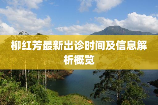 柳紅芳最新出診時(shí)間及信息解析概覽