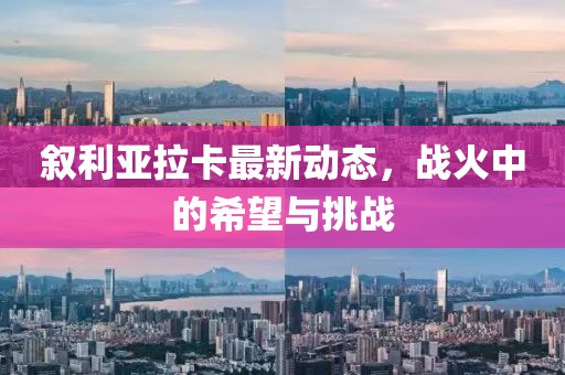 敘利亞拉卡最新動態(tài)，戰(zhàn)火中的希望與挑戰(zhàn)