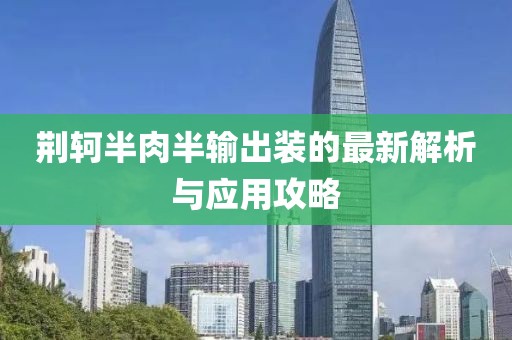 荊軻半肉半輸出裝的最新解析與應(yīng)用攻略