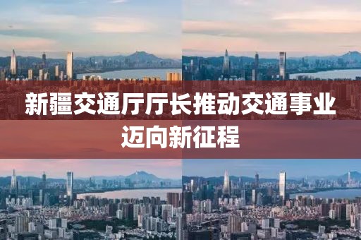 新疆交通廳廳長推動(dòng)交通事業(yè)邁向新征程