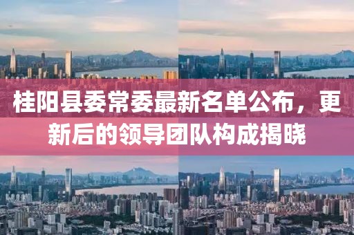 桂陽縣委常委最新名單公布，更新后的領(lǐng)導(dǎo)團隊構(gòu)成揭曉