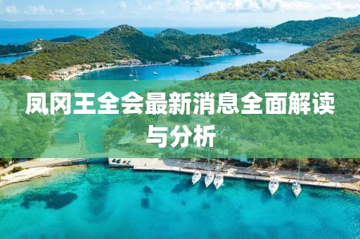 鳳岡王全會最新消息全面解讀與分析