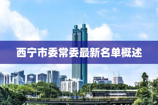 西寧市委常委最新名單概述