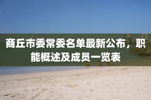 商丘市委常委名單最新公布，職能概述及成員一覽表
