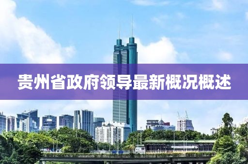 貴州省政府領導最新概況概述