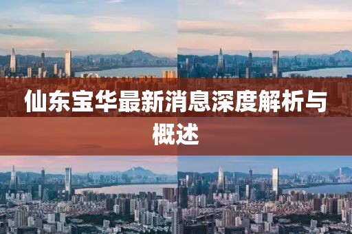 仙東寶華最新消息深度解析與概述
