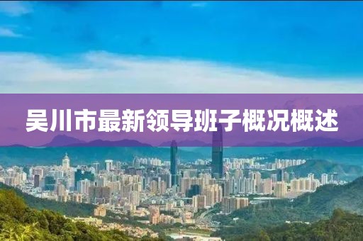 吳川市最新領(lǐng)導(dǎo)班子概況概述