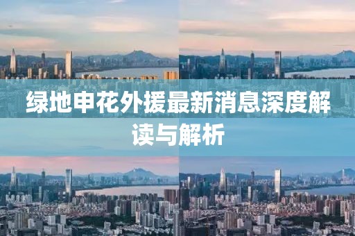 綠地申花外援最新消息深度解讀與解析