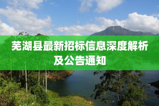 蕪湖縣最新招標信息深度解析及公告通知