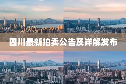 四川最新拍賣公告及詳解發(fā)布