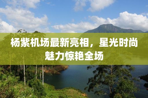 楊紫機場最新亮相，星光時尚魅力驚艷全場