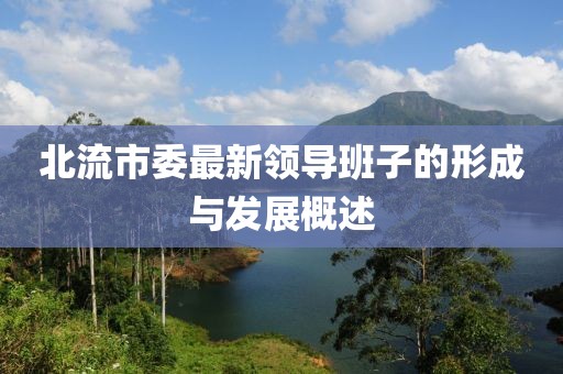 北流市委最新領導班子的形成與發(fā)展概述