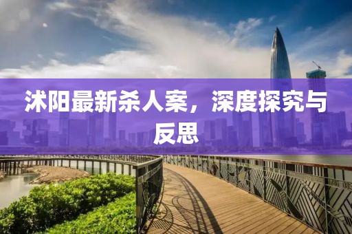 沭陽最新殺人案，深度探究與反思