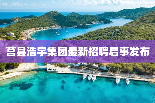 莒縣浩宇集團最新招聘啟事發(fā)布