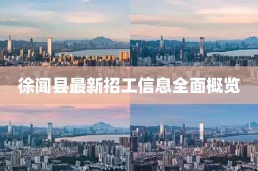 徐聞縣最新招工信息全面概覽