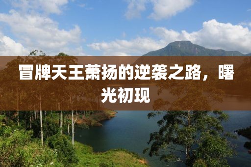 冒牌天王蕭揚(yáng)的逆襲之路，曙光初現(xiàn)
