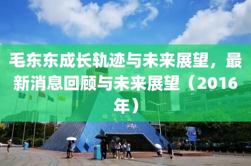 毛東東成長(zhǎng)軌跡與未來(lái)展望，最新消息回顧與未來(lái)展望（2016年）