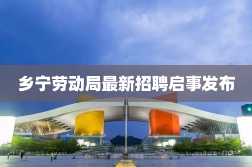 鄉(xiāng)寧勞動(dòng)局最新招聘啟事發(fā)布