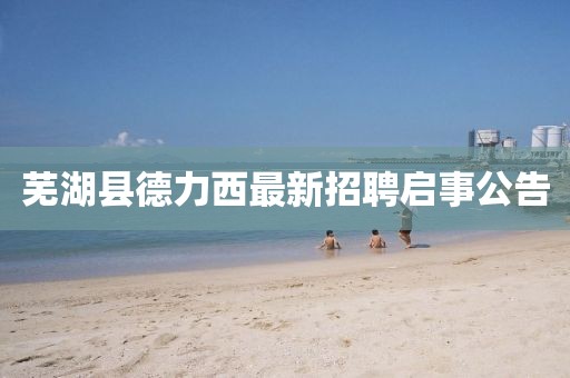 蕪湖縣德力西最新招聘啟事公告