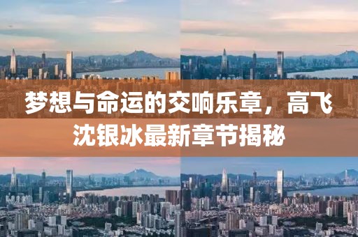 夢(mèng)想與命運(yùn)的交響樂(lè)章，高飛沈銀冰最新章節(jié)揭秘