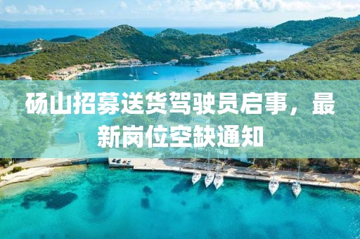 碭山招募送貨駕駛員啟事，最新崗位空缺通知