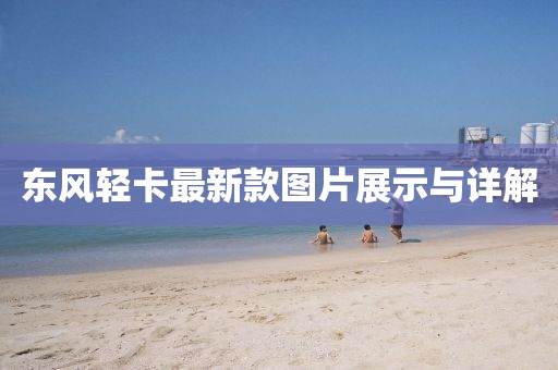 東風(fēng)輕卡最新款圖片展示與詳解
