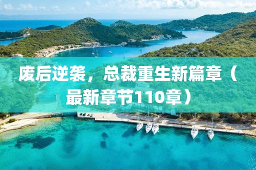 廢后逆襲，總裁重生新篇章（最新章節(jié)110章）