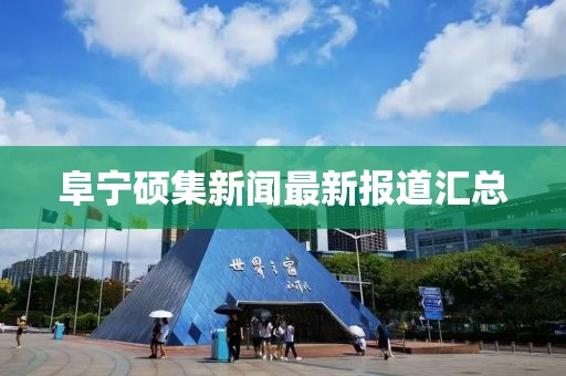 阜寧碩集新聞最新報(bào)道匯總