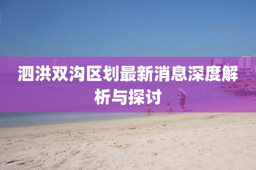 泗洪雙溝區(qū)劃最新消息深度解析與探討