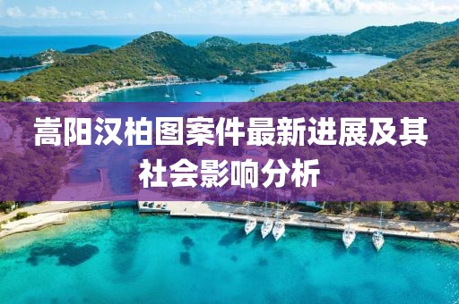 嵩陽漢柏圖案件最新進展及其社會影響分析
