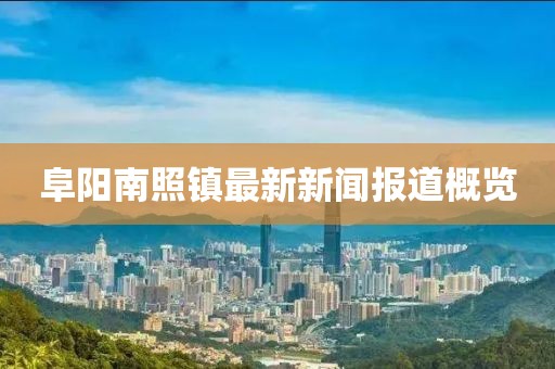阜陽南照鎮(zhèn)最新新聞報(bào)道概覽