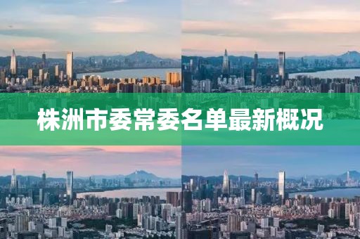 株洲市委常委名單最新概況
