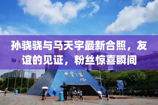 孫驍驍與馬天宇最新合照，友誼的見證，粉絲驚喜瞬間