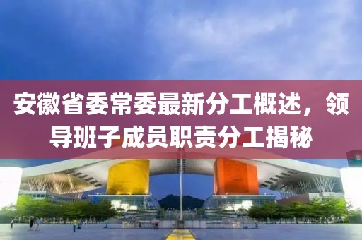 安徽省委常委最新分工概述，領(lǐng)導(dǎo)班子成員職責(zé)分工揭秘