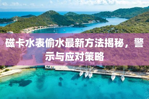 磁卡水表偷水最新方法揭秘，警示與應(yīng)對策略