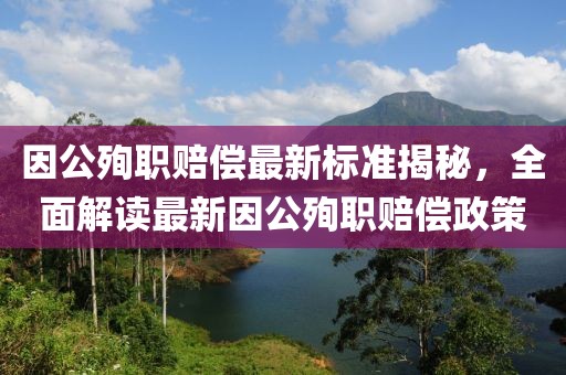 因公殉職賠償最新標(biāo)準(zhǔn)揭秘，全面解讀最新因公殉職賠償政策