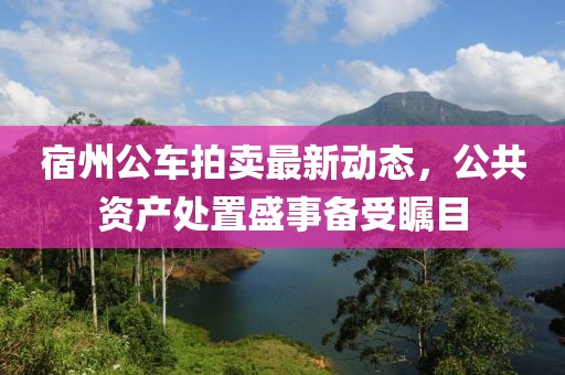 宿州公車拍賣最新動(dòng)態(tài)，公共資產(chǎn)處置盛事備受矚目