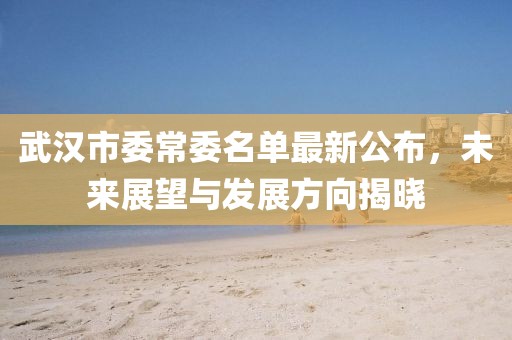 武漢市委常委名單最新公布，未來展望與發(fā)展方向揭曉
