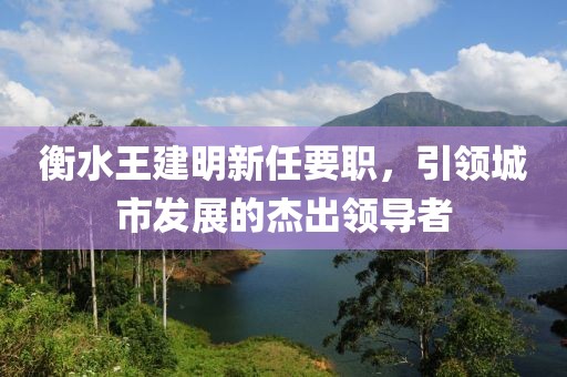 衡水王建明新任要職，引領(lǐng)城市發(fā)展的杰出領(lǐng)導(dǎo)者