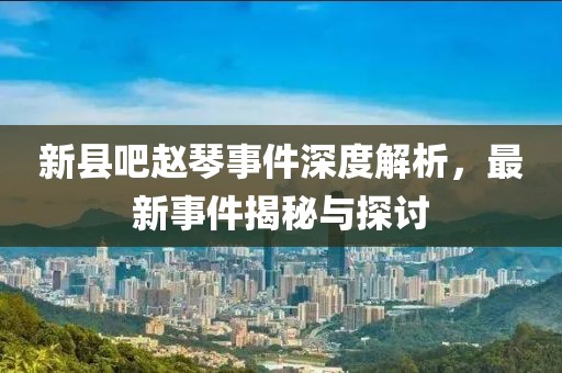 新縣吧趙琴事件深度解析，最新事件揭秘與探討