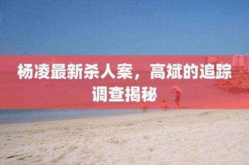 楊凌最新殺人案，高斌的追蹤調查揭秘