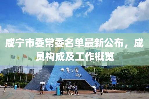 咸寧市委常委名單最新公布，成員構(gòu)成及工作概覽