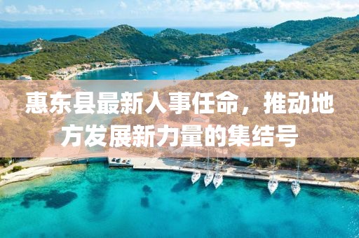 惠東縣最新人事任命，推動地方發(fā)展新力量的集結(jié)號