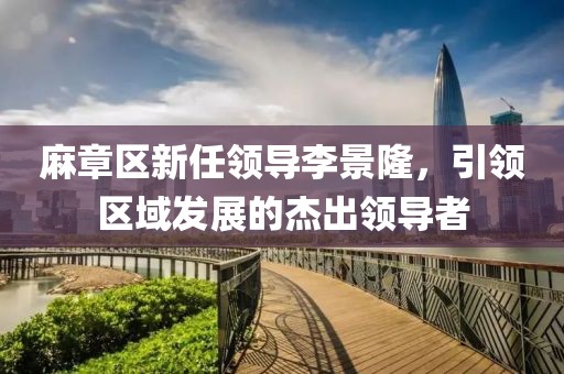 麻章區(qū)新任領(lǐng)導(dǎo)李景隆，引領(lǐng)區(qū)域發(fā)展的杰出領(lǐng)導(dǎo)者