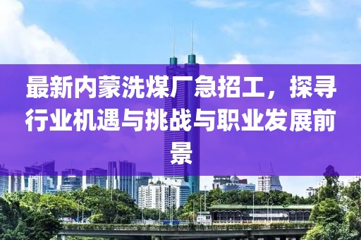 最新內(nèi)蒙洗煤廠急招工，探尋行業(yè)機遇與挑戰(zhàn)與職業(yè)發(fā)展前景