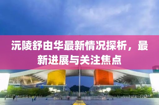 沅陵舒由華最新情況探析，最新進展與關(guān)注焦點
