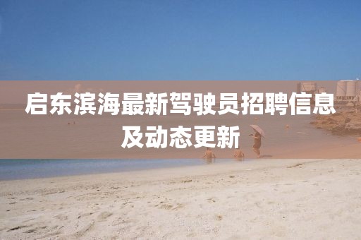 啟東濱海最新駕駛員招聘信息及動態(tài)更新
