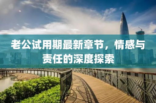 老公試用期最新章節(jié)，情感與責(zé)任的深度探索