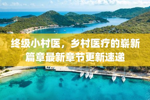 終級小村醫(yī)，鄉(xiāng)村醫(yī)療的嶄新篇章最新章節(jié)更新速遞